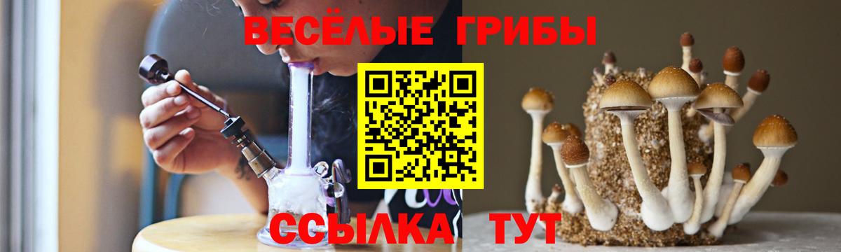 Галлюциногенные грибы GOLDEN TEACHER Ипатово